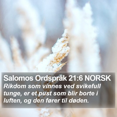 Salomos Ordspråk 21:6 NORSK Bible Verse Image