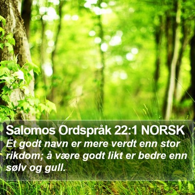 Salomos Ordspråk 22:1 NORSK Bible Verse Image
