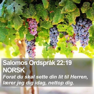 Salomos Ordspråk 22:19 NORSK Bible Verse Image