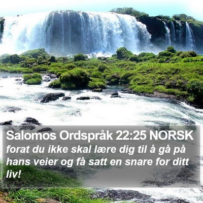 Salomos Ordspråk 22:25 NORSK Bible Verse Image