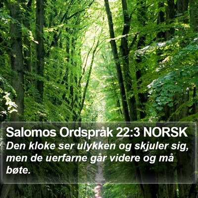 Salomos Ordspråk 22:3 NORSK Bible Verse Image