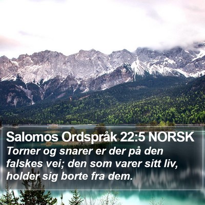 Salomos Ordspråk 22:5 NORSK Bible Verse Image