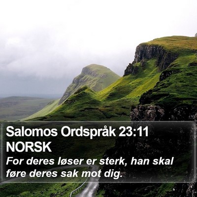 Salomos Ordspråk 23:11 NORSK Bible Verse Image