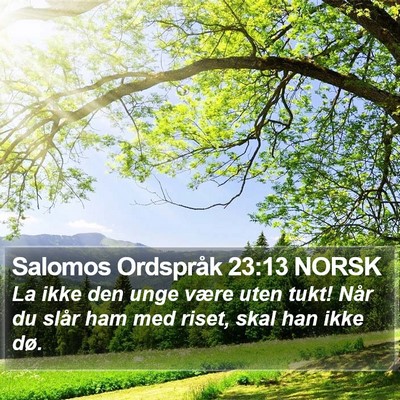 Salomos Ordspråk 23:13 NORSK Bible Verse Image
