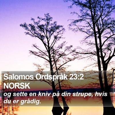 Salomos Ordspråk 23:2 NORSK Bible Verse Image
