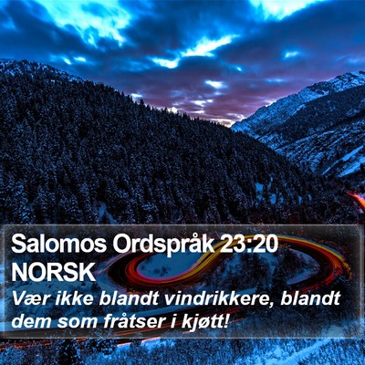 Salomos Ordspråk 23:20 NORSK Bible Verse Image