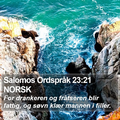 Salomos Ordspråk 23:21 NORSK Bible Verse Image
