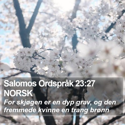 Salomos Ordspråk 23:27 NORSK Bible Verse Image