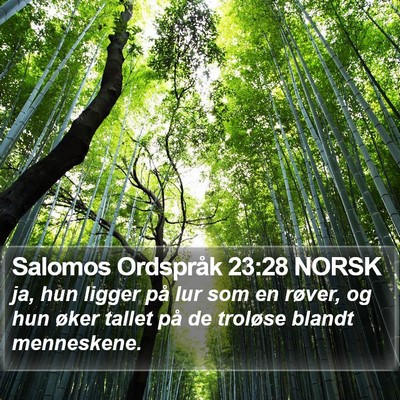 Salomos Ordspråk 23:28 NORSK Bible Verse Image