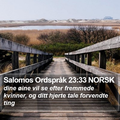 Salomos Ordspråk 23:33 NORSK Bible Verse Image