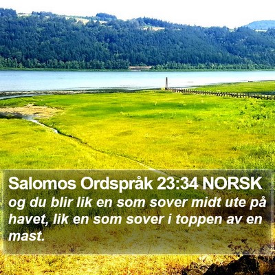 Salomos Ordspråk 23:34 NORSK Bible Verse Image