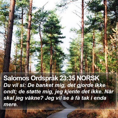 Salomos Ordspråk 23:35 NORSK Bible Verse Image