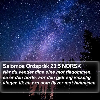 Salomos Ordspråk 23:5 NORSK Bible Verse Image