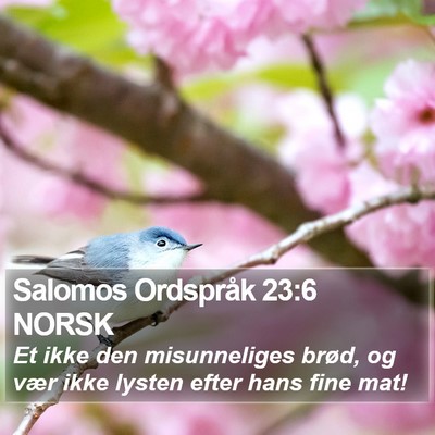 Salomos Ordspråk 23:6 NORSK Bible Verse Image