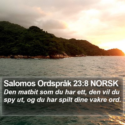 Salomos Ordspråk 23:8 NORSK Bible Verse Image