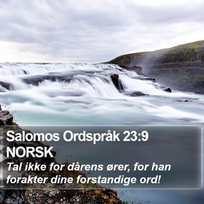 Salomos Ordspråk 23:9 NORSK Bible Verse Image