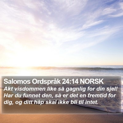 Salomos Ordspråk 24:14 NORSK Bible Verse Image