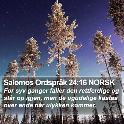 Salomos Ordspråk 24:16 NORSK Bible Verse Image