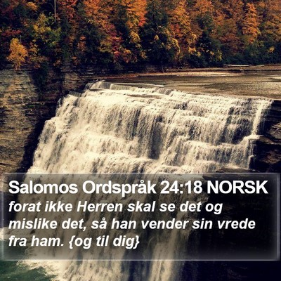 Salomos Ordspråk 24:18 NORSK Bible Verse Image