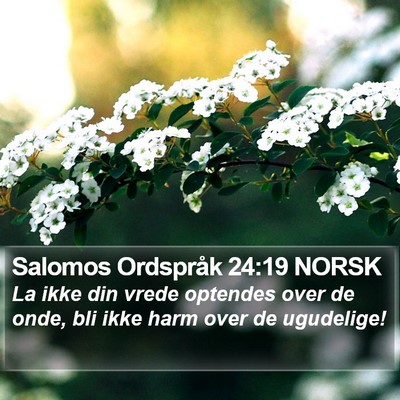 Salomos Ordspråk 24:19 NORSK Bible Verse Image