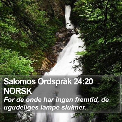 Salomos Ordspråk 24:20 NORSK Bible Verse Image