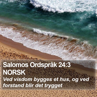 Salomos Ordspråk 24:3 NORSK Bible Verse Image