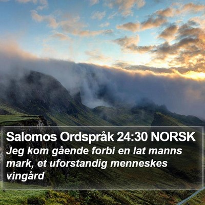 Salomos Ordspråk 24:30 NORSK Bible Verse Image