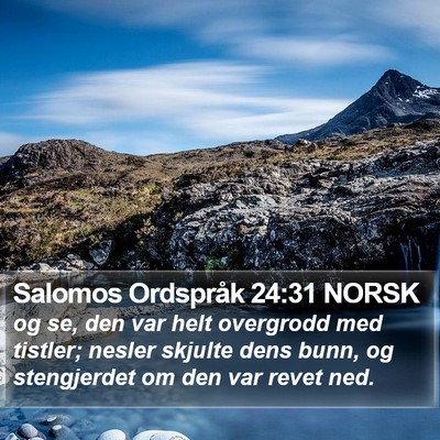 Salomos Ordspråk 24:31 NORSK Bible Verse Image