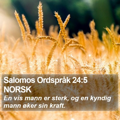 Salomos Ordspråk 24:5 NORSK Bible Verse Image