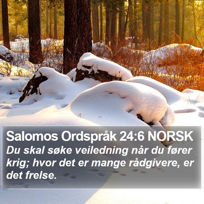 Salomos Ordspråk 24:6 NORSK Bible Verse Image