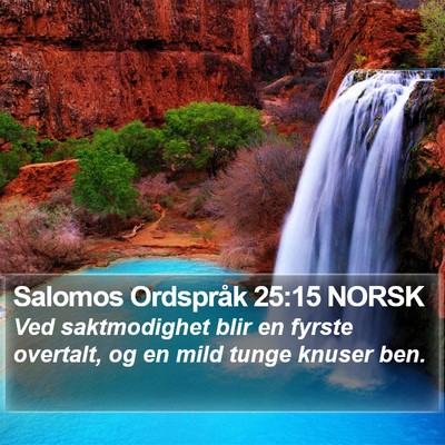Salomos Ordspråk 25:15 NORSK Bible Verse Image