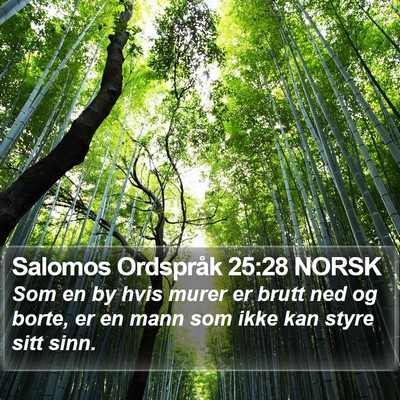 Salomos Ordspråk 25:28 NORSK Bible Verse Image