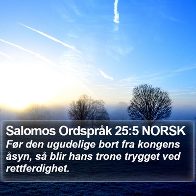 Salomos Ordspråk 25:5 NORSK Bible Verse Image