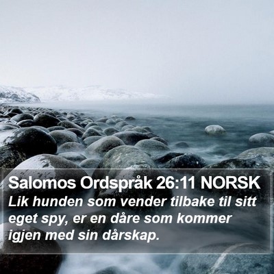 Salomos Ordspråk 26:11 NORSK Bible Verse Image
