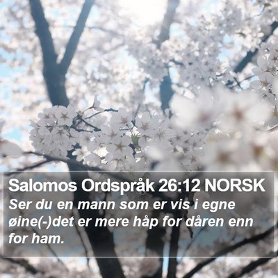 Salomos Ordspråk 26:12 NORSK Bible Verse Image