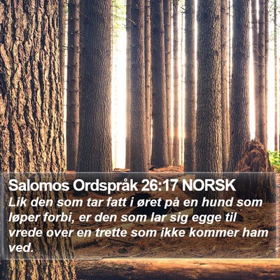Salomos Ordspråk 26:17 NORSK Bible Verse Image