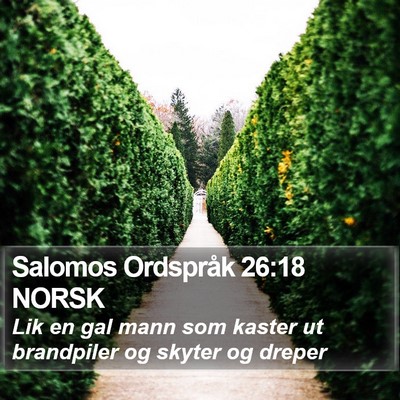 Salomos Ordspråk 26:18 NORSK Bible Verse Image