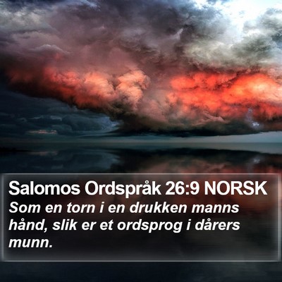 Salomos Ordspråk 26:9 NORSK Bible Verse Image