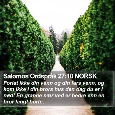 Salomos Ordspråk 27:10 NORSK Bible Verse Image