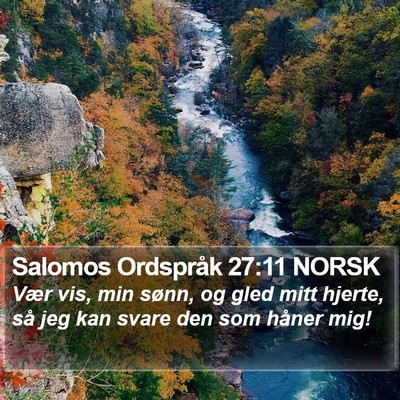 Salomos Ordspråk 27:11 NORSK Bible Verse Image