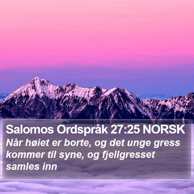 Salomos Ordspråk 27:25 NORSK Bible Verse Image