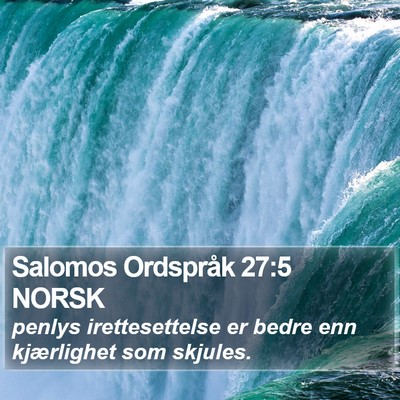 Salomos Ordspråk 27:5 NORSK Bible Verse Image