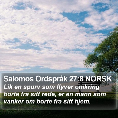 Salomos Ordspråk 27:8 NORSK Bible Verse Image