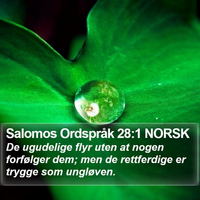 Salomos Ordspråk 28:1 NORSK Bible Verse Image