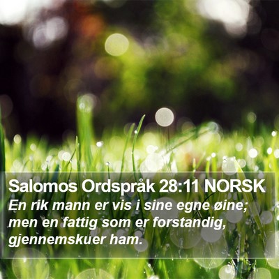 Salomos Ordspråk 28:11 NORSK Bible Verse Image