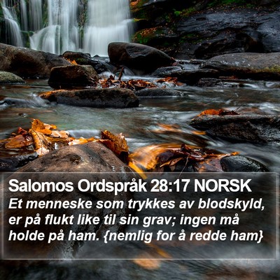 Salomos Ordspråk 28:17 NORSK Bible Verse Image