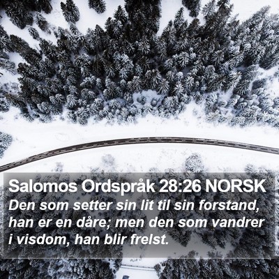 Salomos Ordspråk 28:26 NORSK Bible Verse Image