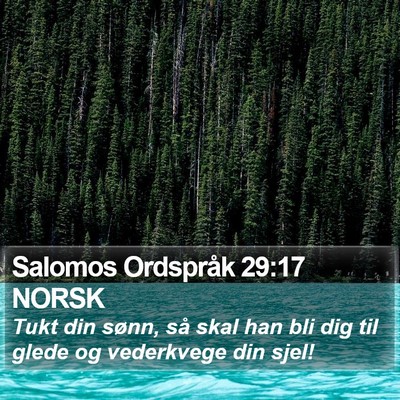 Salomos Ordspråk 29:17 NORSK Bible Verse Image