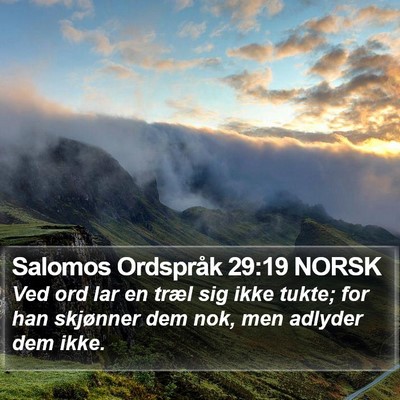 Salomos Ordspråk 29:19 NORSK Bible Verse Image
