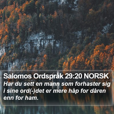 Salomos Ordspråk 29:20 NORSK Bible Verse Image